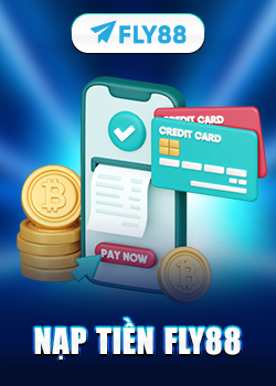 nạp tiền fly88
